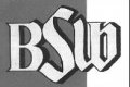 bsw-logo.jpg