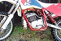 ATK-250-Rotax-CA-2.jpg