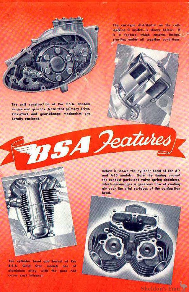 BSA-1950-cat02.jpg