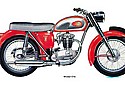 BSA-1965-C15-Star.jpg