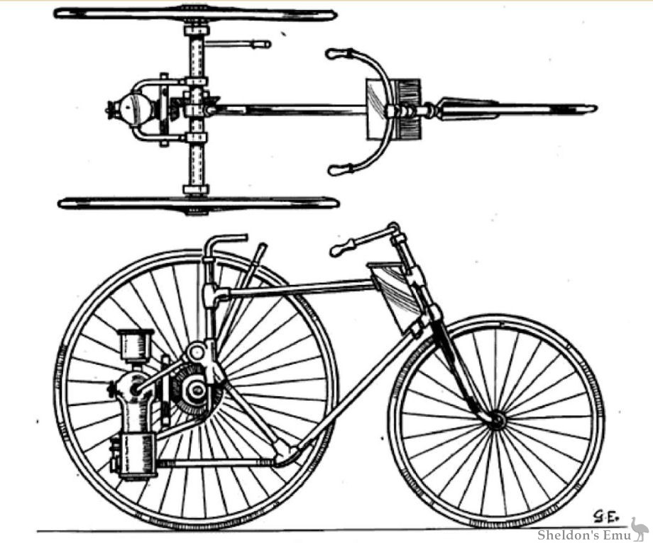 Roots-1892.jpg