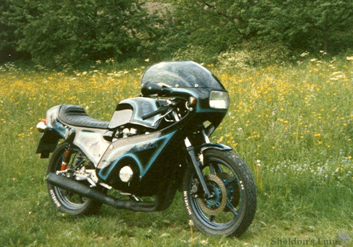 Schwingen-Kawasaki.jpg