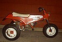 Italjet Trike.jpg