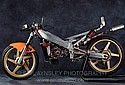 Laverda-1989-125GP-LMNL-PA-02.jpg