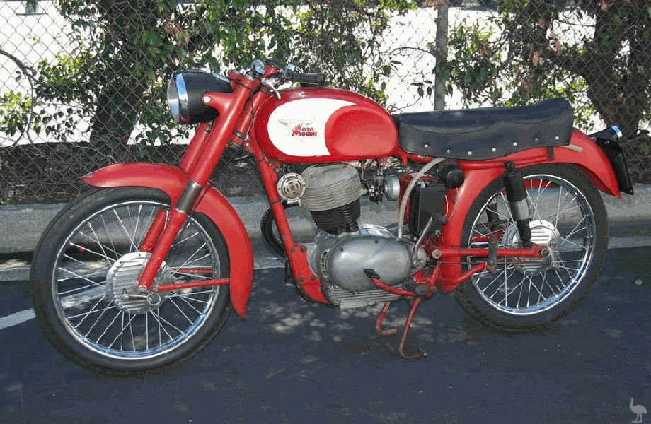 Moto-Morini-1956-175cc-Guzzino.jpg