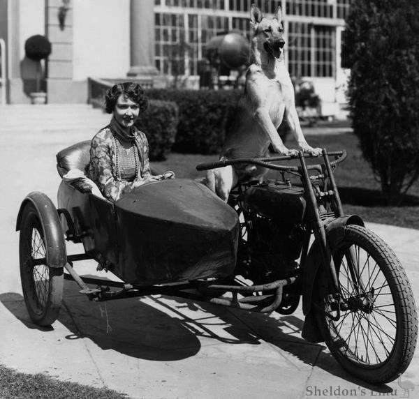 Sidecar-Dog.jpg