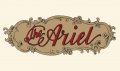 ariel-1912c-script-large.jpg