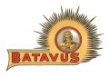 batavus-blaze.jpg