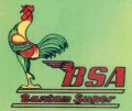 bsa-bantam-super.jpg