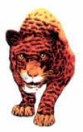 panther-logo-frontal-100.jpg