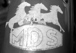 MDS Logo