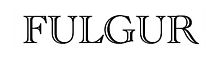 fulgur logo